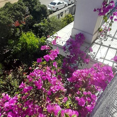 Blanca Rosa Valparaiso B&B Exterior foto