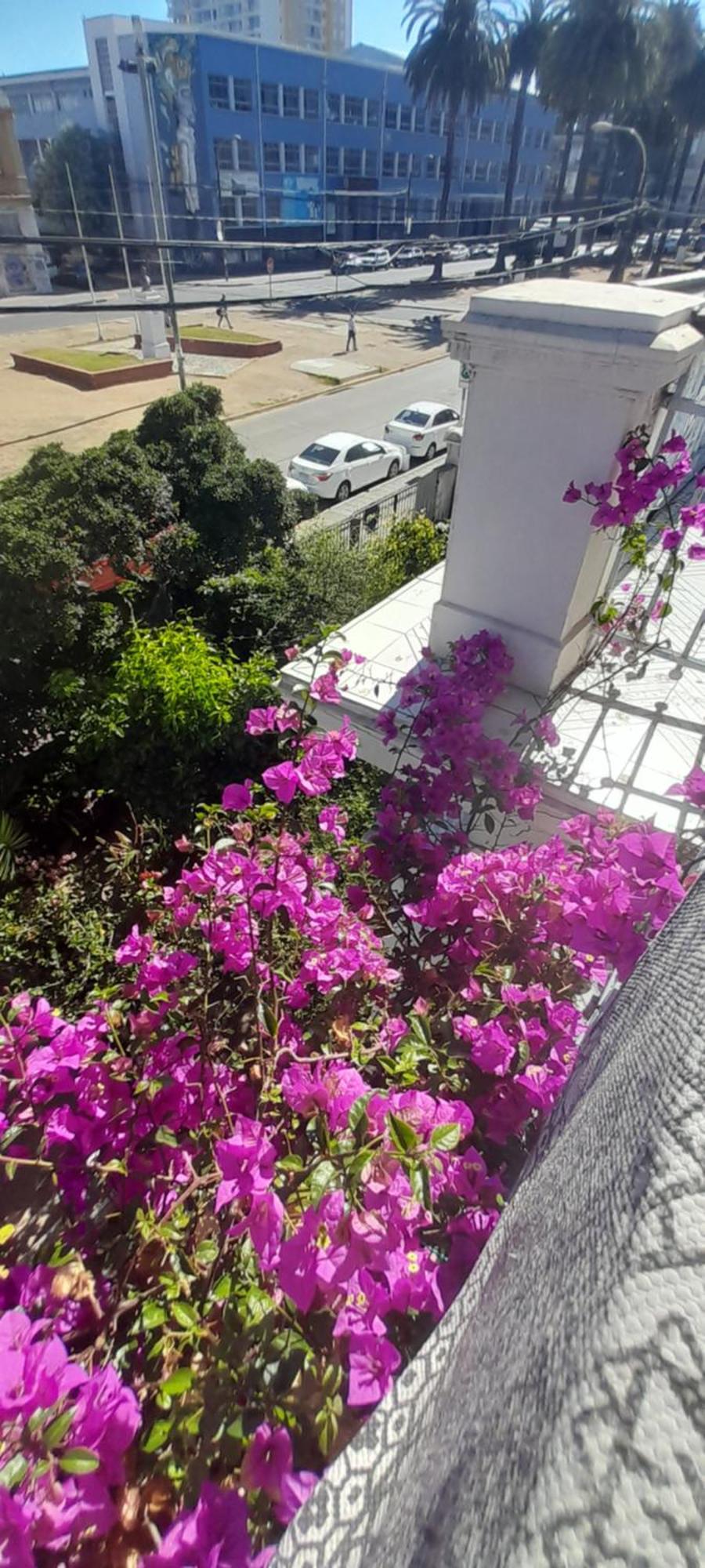 Blanca Rosa Valparaiso B&B Exterior foto